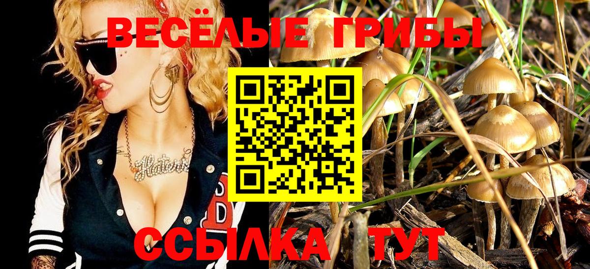 Галлюциногенные грибы Psilocybe  Галлюциногенные грибы Psilocybine cubensis  Вход с VPN  Чайковский 